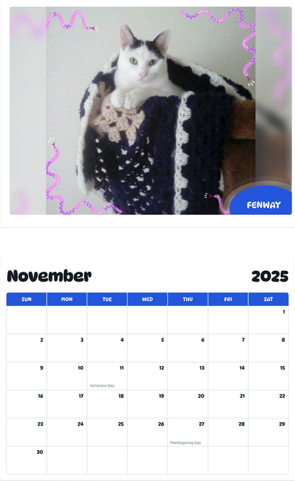 July 2025 - June 2026 Fenway - Pawidols Pet Calendar