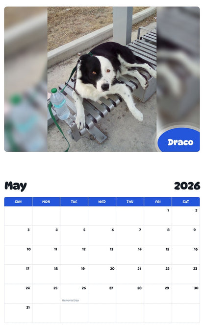 2026 - 2027 Draco - Pawidols Pet Calendar