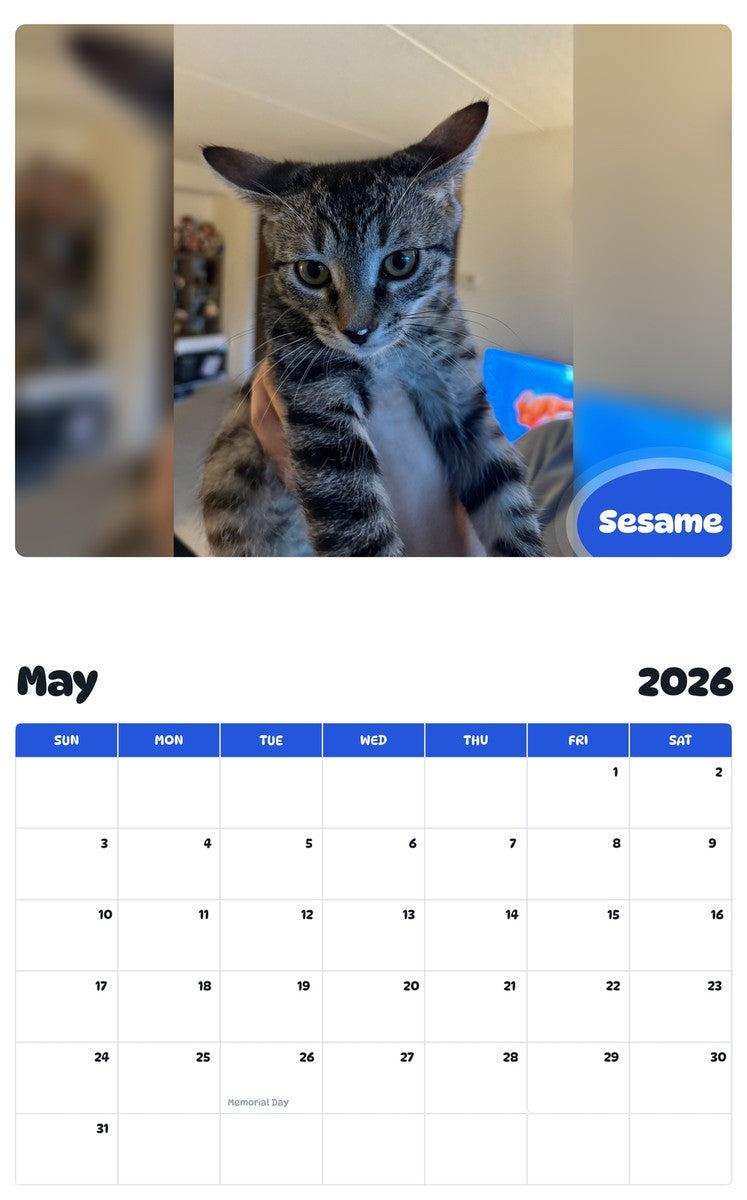 2026 - 2027 Sesame - Pawidols Pet Calendar
