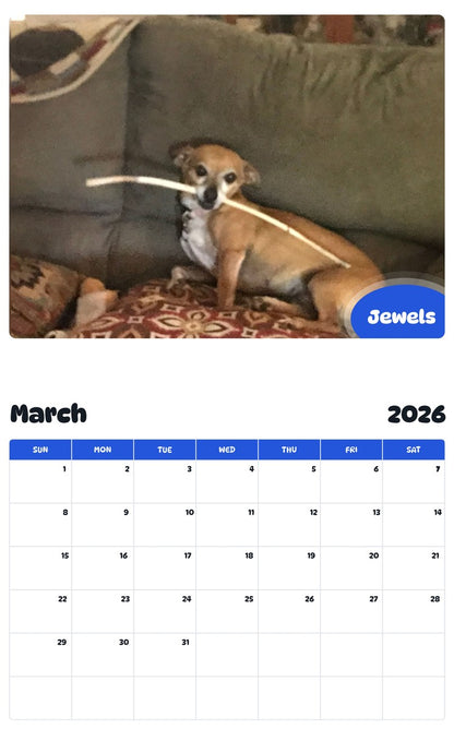 November 2025 - October 2026 Jewels - Pawidols Pet Calendar