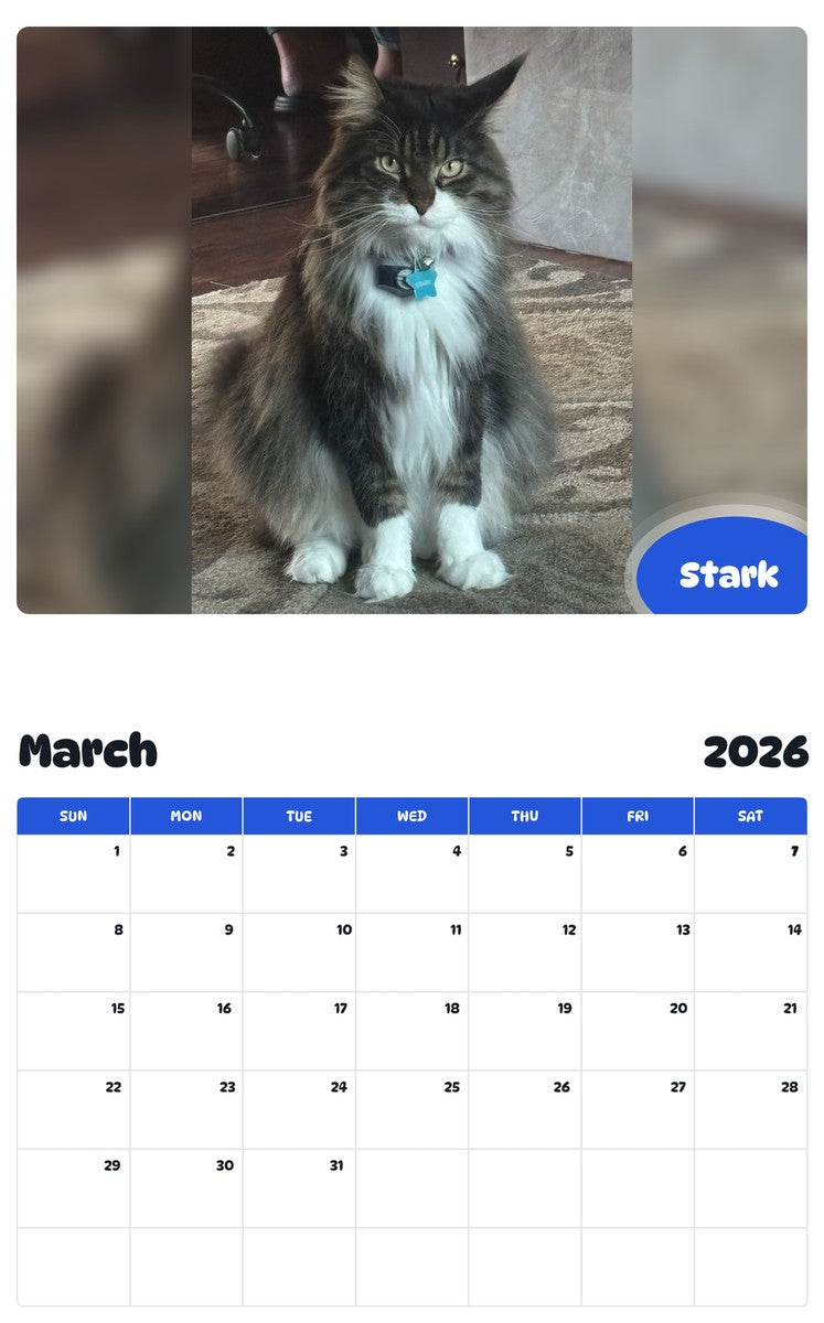 November 2025 - October 2026 Stark - Pawidols Pet Calendar