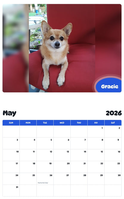 2026 - 2027 Gracie - Pawidols Pet Calendar