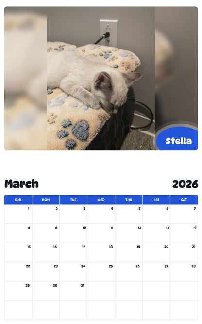 November 2025 - October 2026 Stella - Pawidols Pet Calendar