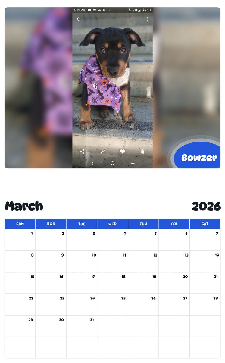 November 2025 - October 2026 Bowzer - Pawidols Pet Calendar