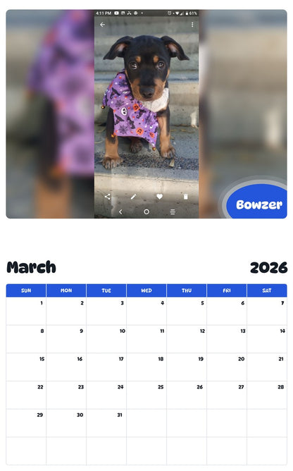 November 2025 - October 2026 Bowzer - Pawidols Pet Calendar