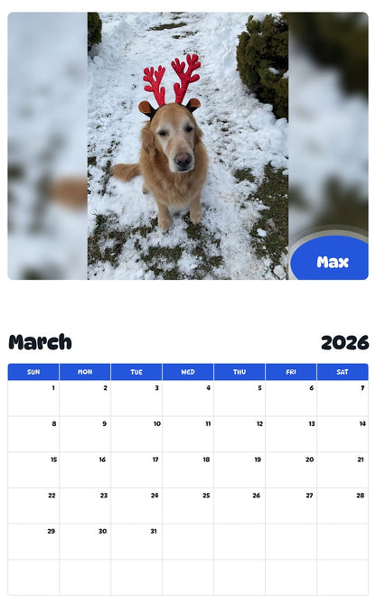 November 2025 - October 2026 Max - Pawidols Pet Calendar