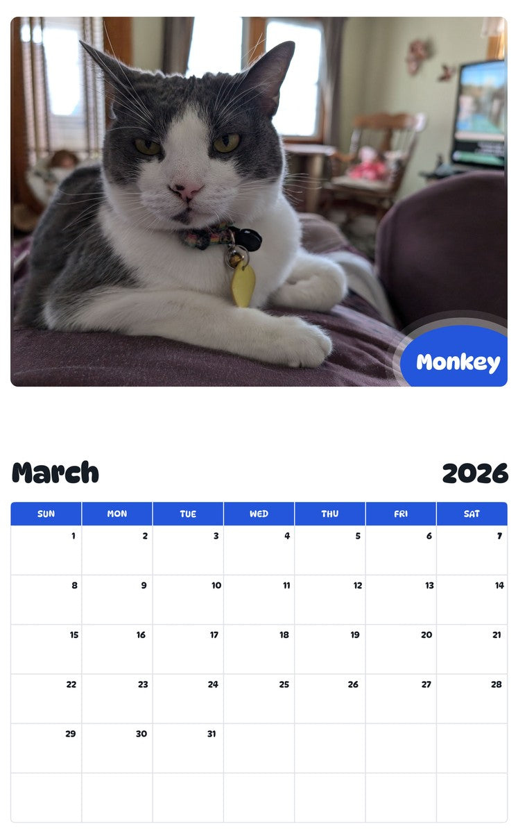 November 2025 - October 2026 Monkey - Pawidols Pet Calendar