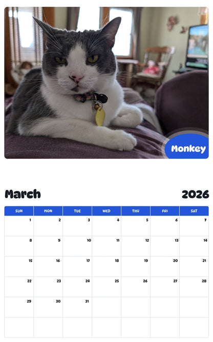 November 2025 - October 2026 Monkey - Pawidols Pet Calendar