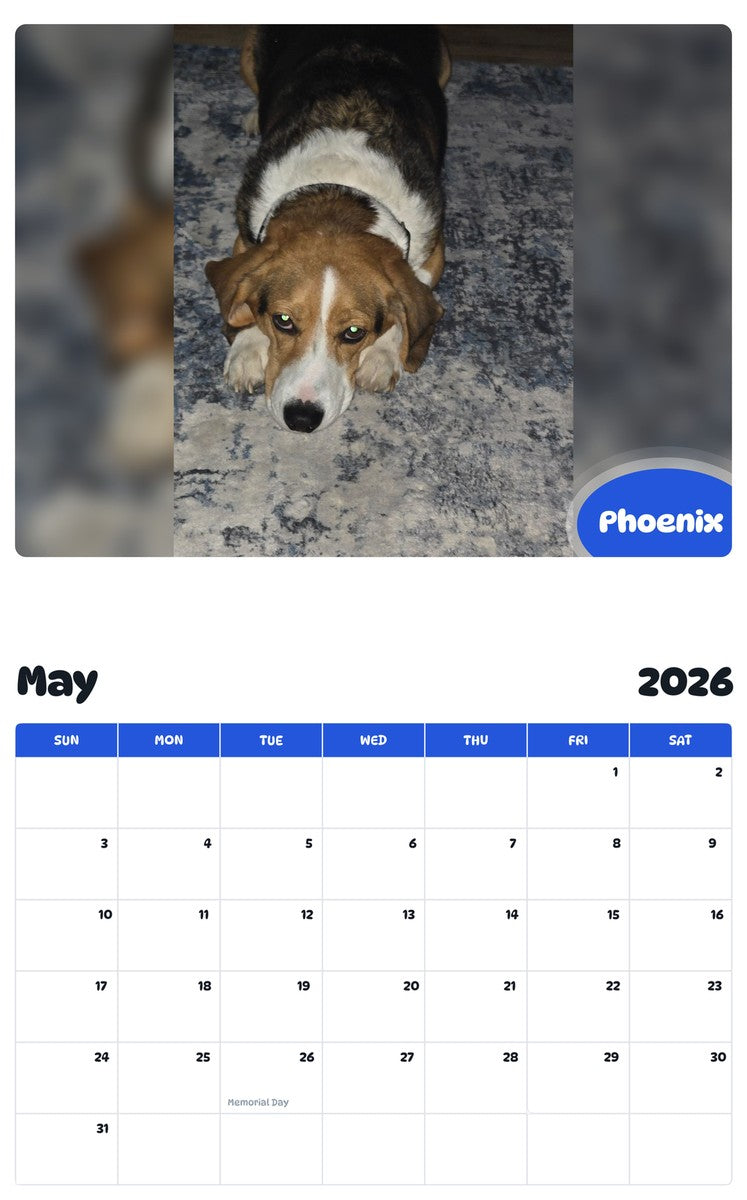 2026 - 2027 Phoenix - Pawidols Pet Calendar