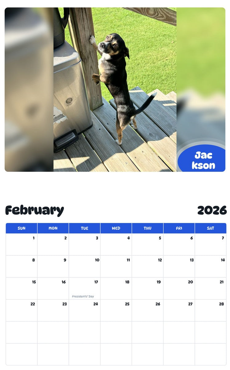 October 2025 - September 2026 Jackson - Pawidols Pet Calendar