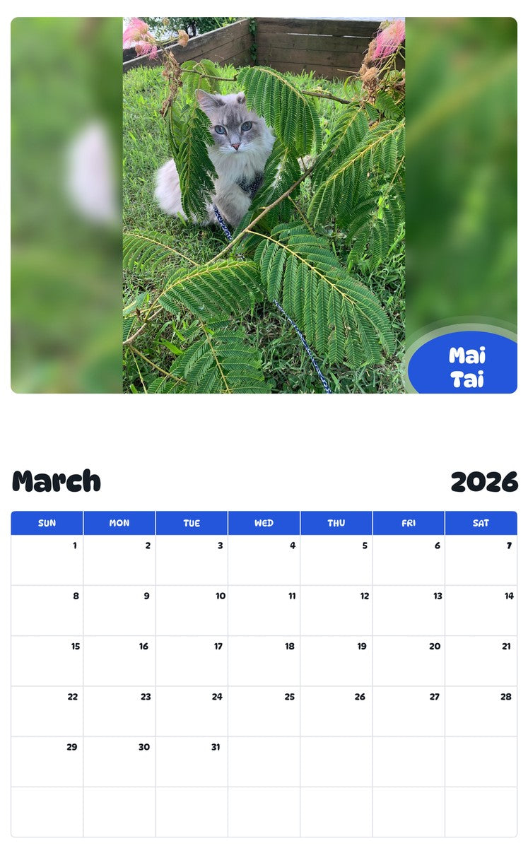 November 2025 - October 2026 Mai Tai - Pawidols Pet Calendar