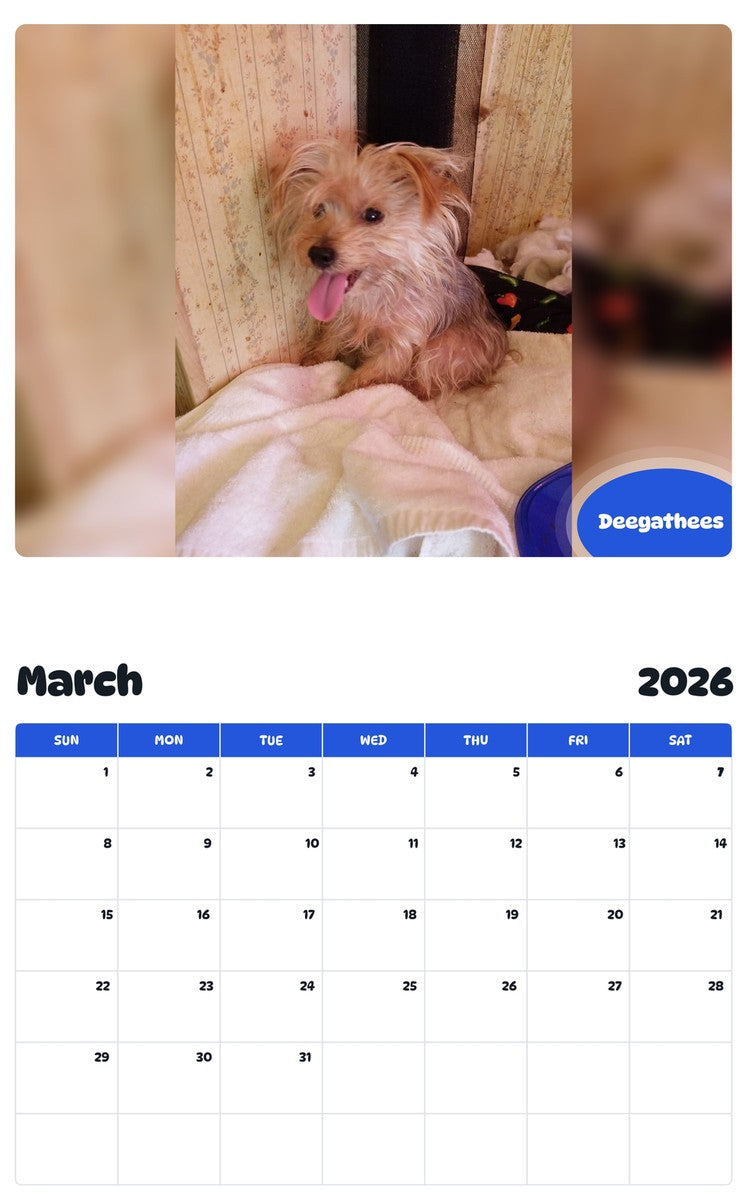 November 2025 - October 2026 Deegathees - Pawidols Pet Calendar