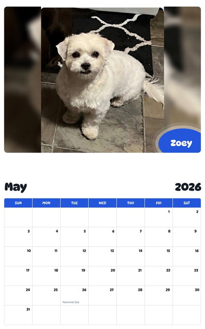 2026 - 2027 Zoey - Pawidols Pet Calendar