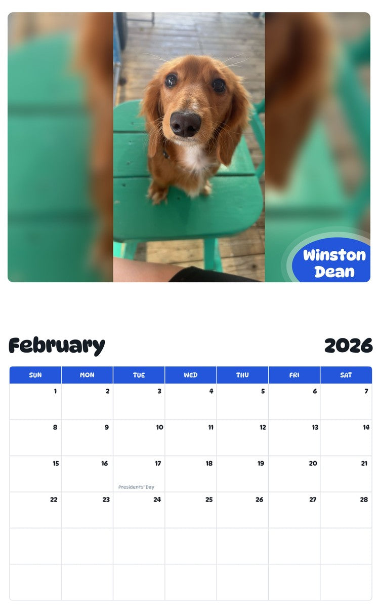 October 2025 - September 2026 Winston Dean - Pawidols Pet Calendar