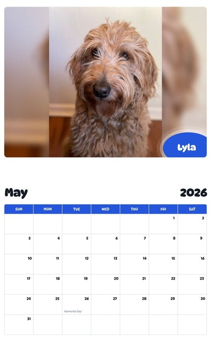 2026 - 2027 Lyla - Pawidols Pet Calendar