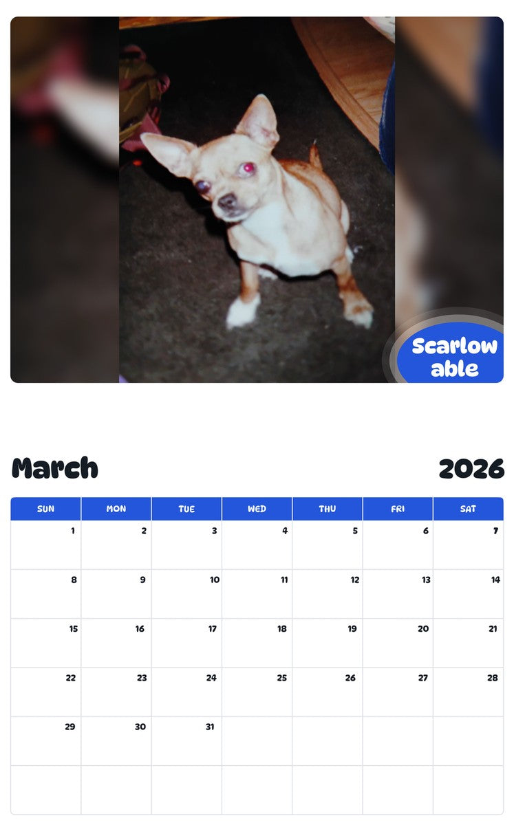 November 2025 - October 2026 Scarlow able - Pawidols Pet Calendar