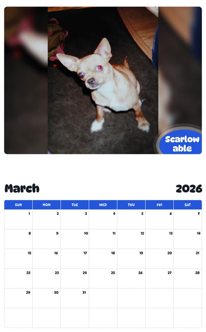 November 2025 - October 2026 Scarlow able - Pawidols Pet Calendar