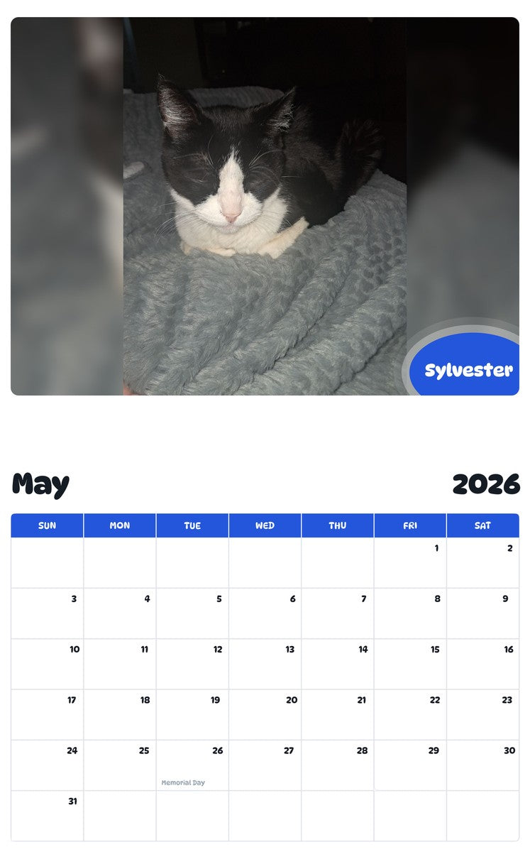 2026 - 2027 Sylvester - Pawidols Pet Calendar