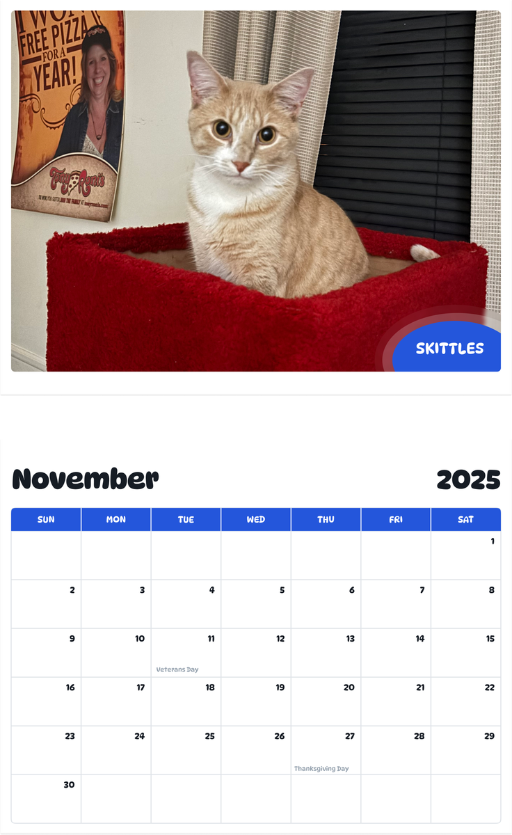 July 2025 - June 2026 Skittles - Pawidols Pet Calendar