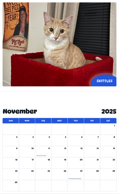 July 2025 - June 2026 Skittles - Pawidols Pet Calendar