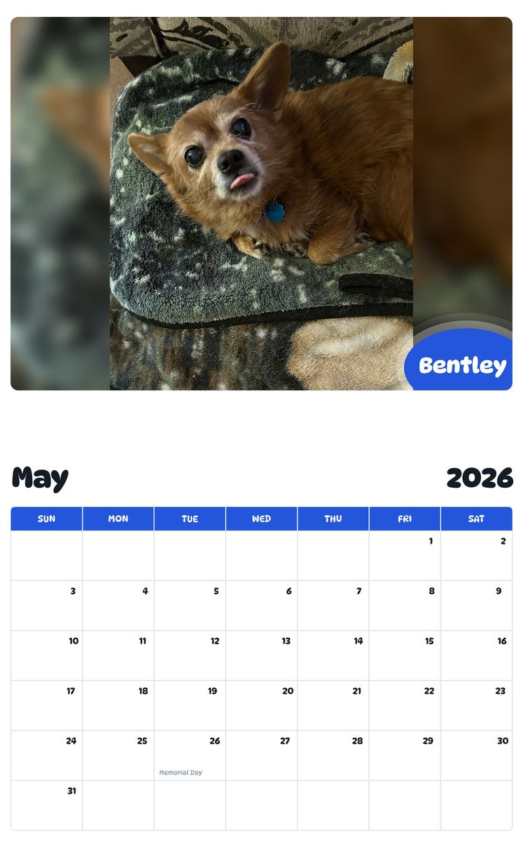 2026 - 2027 Bentley - Pawidols Pet Calendar