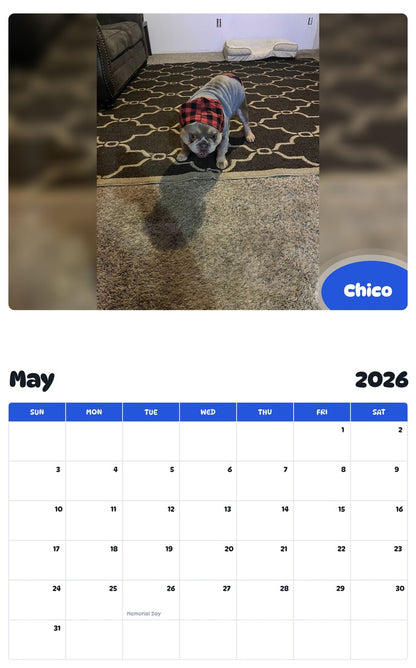 2026 - 2027 Chico - Pawidols Pet Calendar