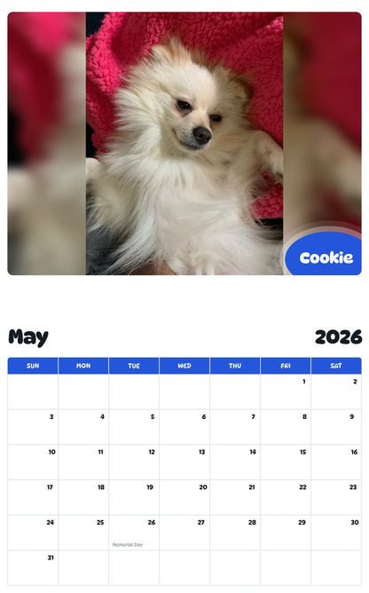 2026 - 2027 Cookie - Pawidols Pet Calendar