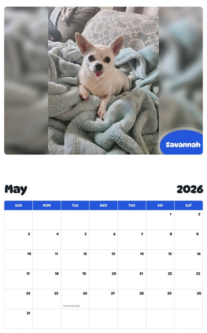 2026 - 2027 Savannah - Pawidols Pet Calendar