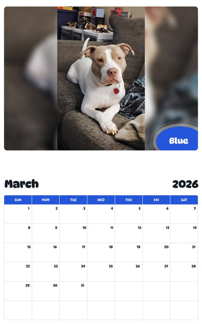 November 2025 - October 2026 Blue - Pawidols Pet Calendar