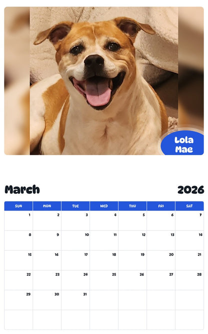 November 2025 - October 2026 Lola Mae - Pawidols Pet Calendar