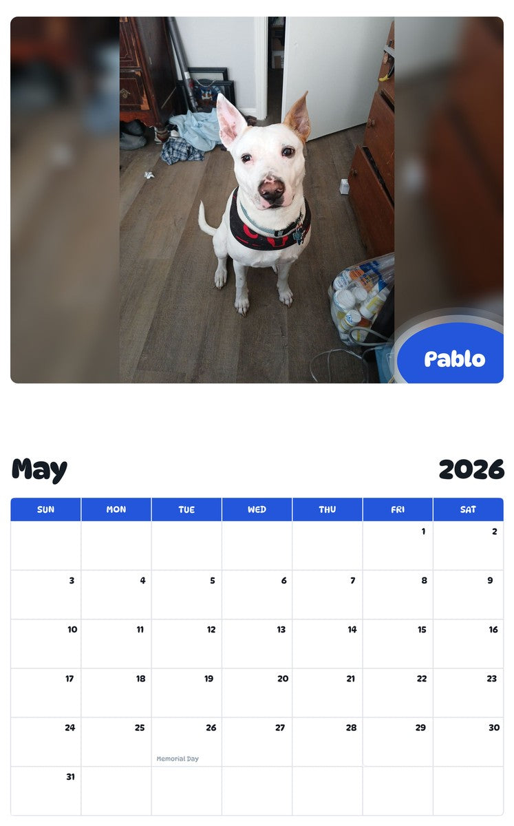 2026 - 2027 Pablo - Pawidols Pet Calendar