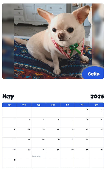 2026 - 2027 Bella - Pawidols Pet Calendar
