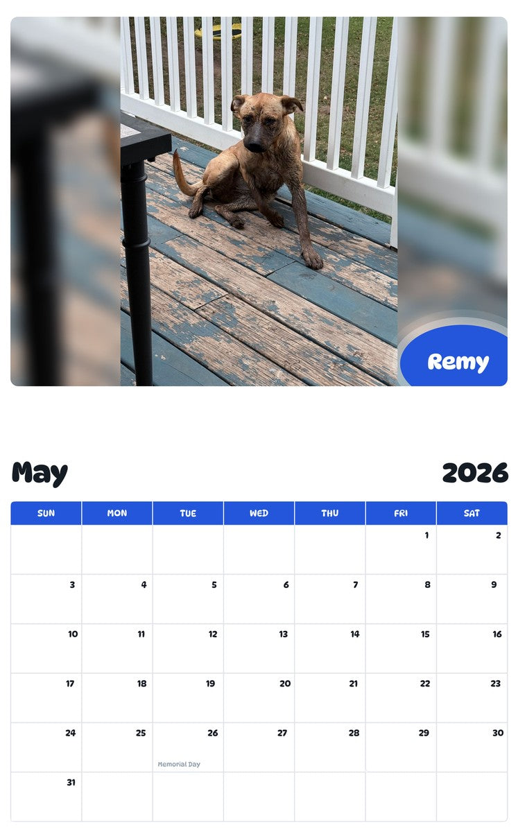 2026 - 2027 Remy - Pawidols Pet Calendar