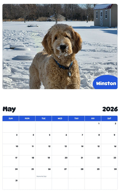 2026 - 2027 Winston - Pawidols Pet Calendar