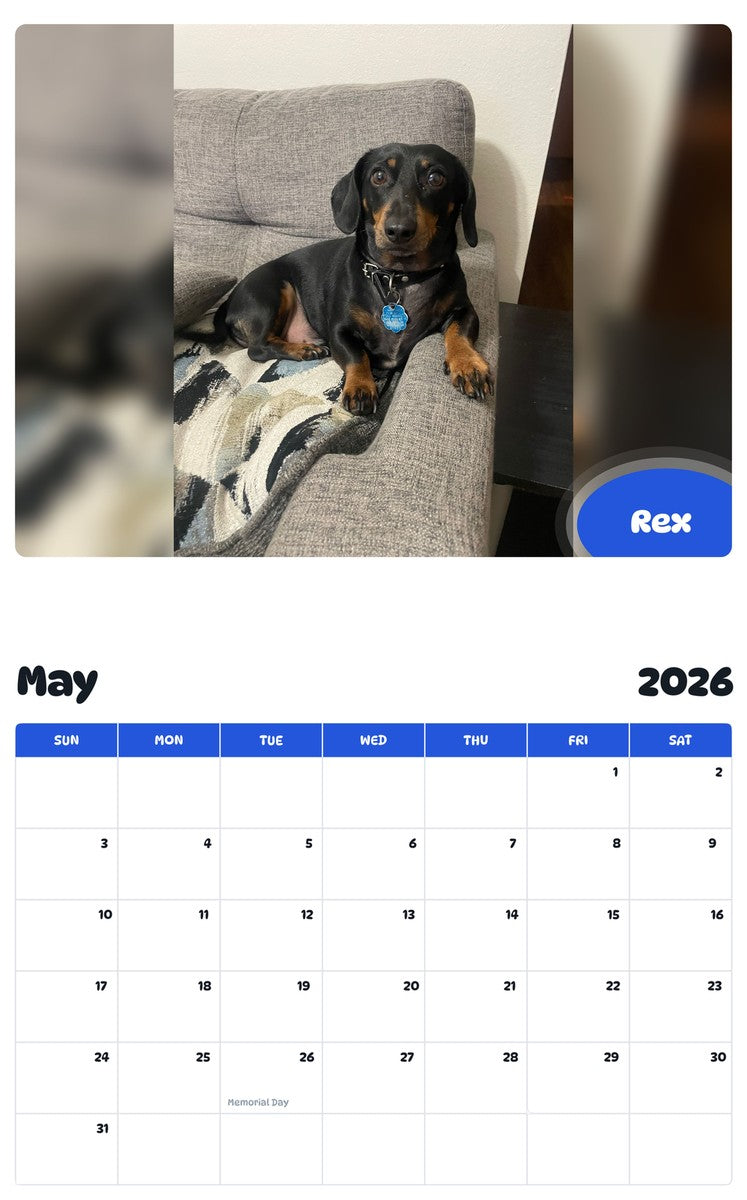 2026 - 2027 Rex - Pawidols Pet Calendar