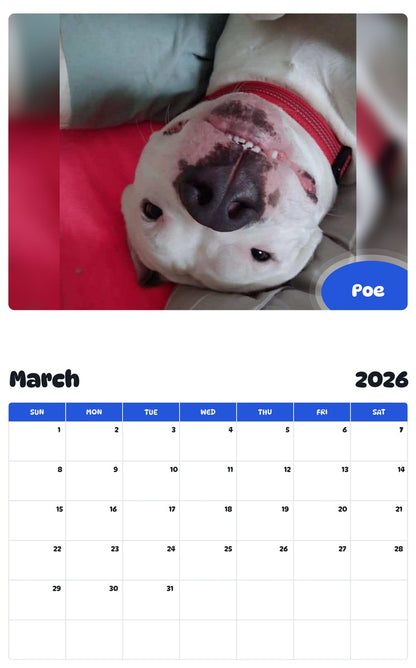 November 2025 - October 2026 Poe - Pawidols Pet Calendar