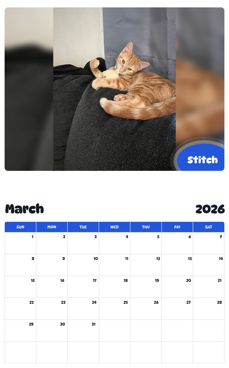 November 2025 - October 2026 Stitch - Pawidols Pet Calendar