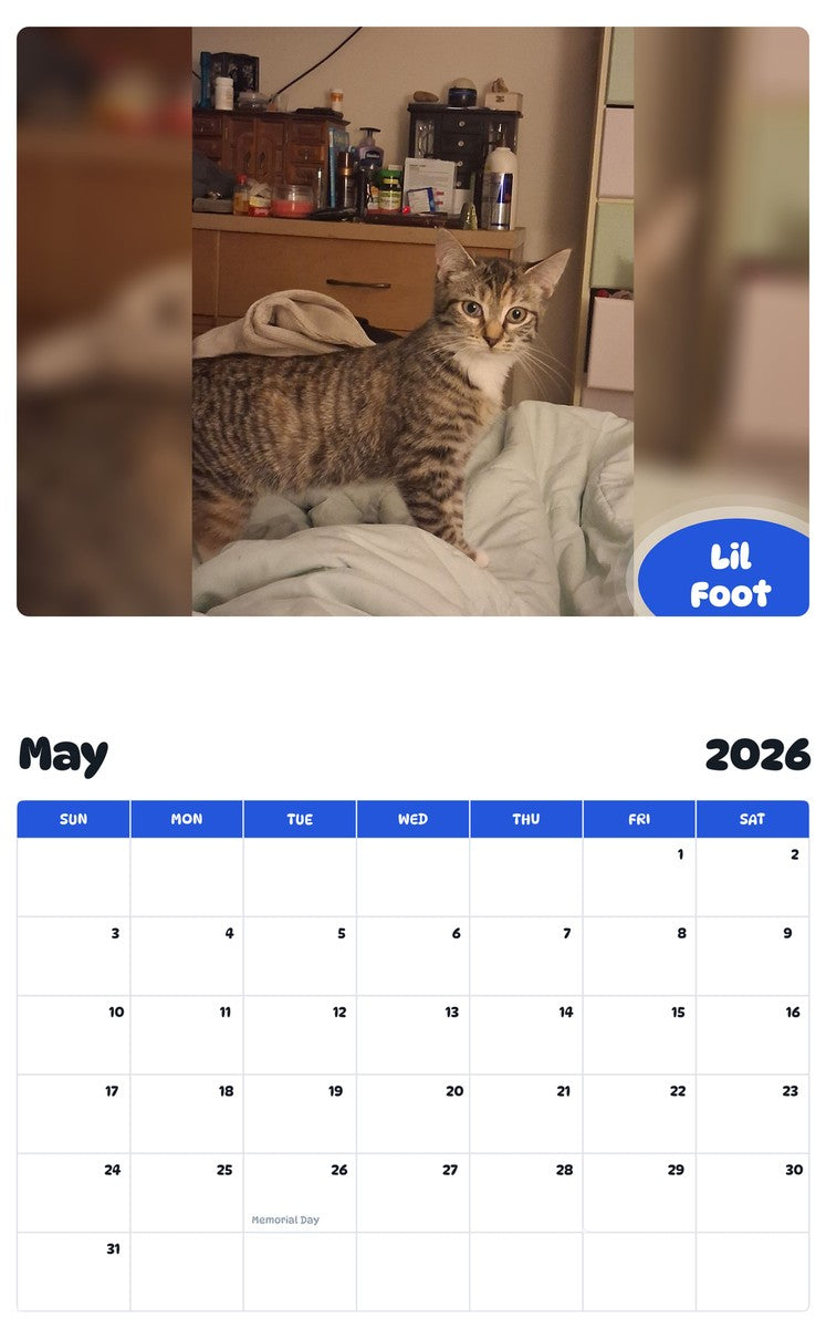 2026 - 2027 Lil Foot - Pawidols Pet Calendar