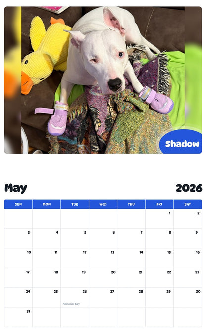 2026 - 2027 Shadow - Pawidols Pet Calendar