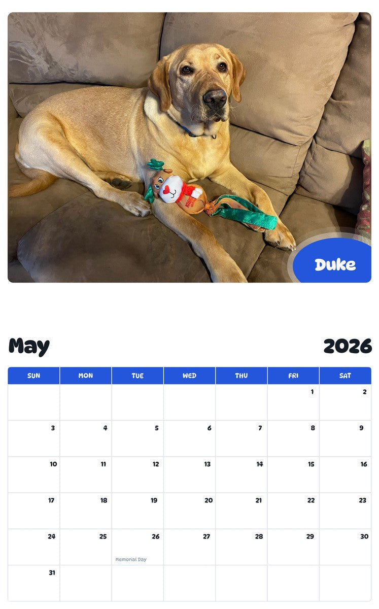 2026 - 2027 Duke - Pawidols Pet Calendar
