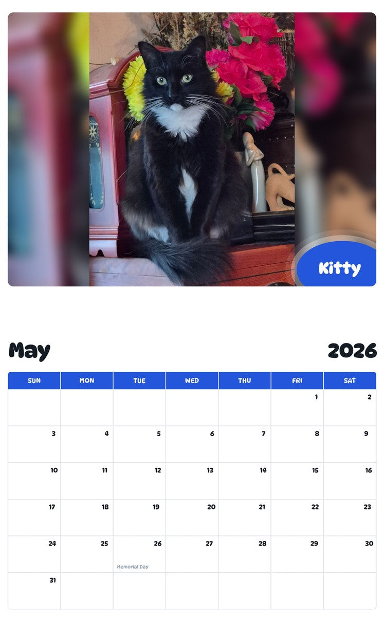 2026 - 2027 Kitty - Pawidols Pet Calendar