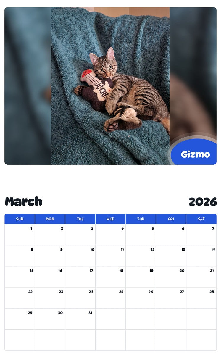 November 2025 - October 2026 Gizmo - Pawidols Pet Calendar