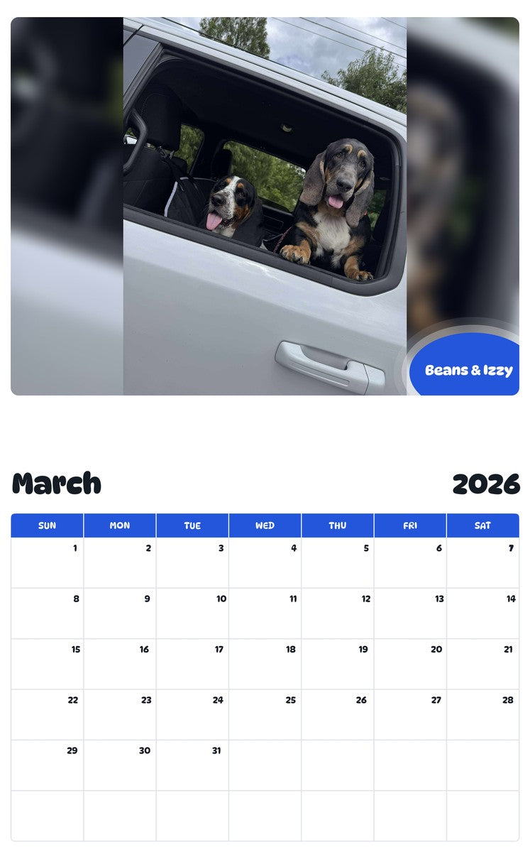 November 2025 - October 2026 Beans & Izzy - Pawidols Pet Calendar