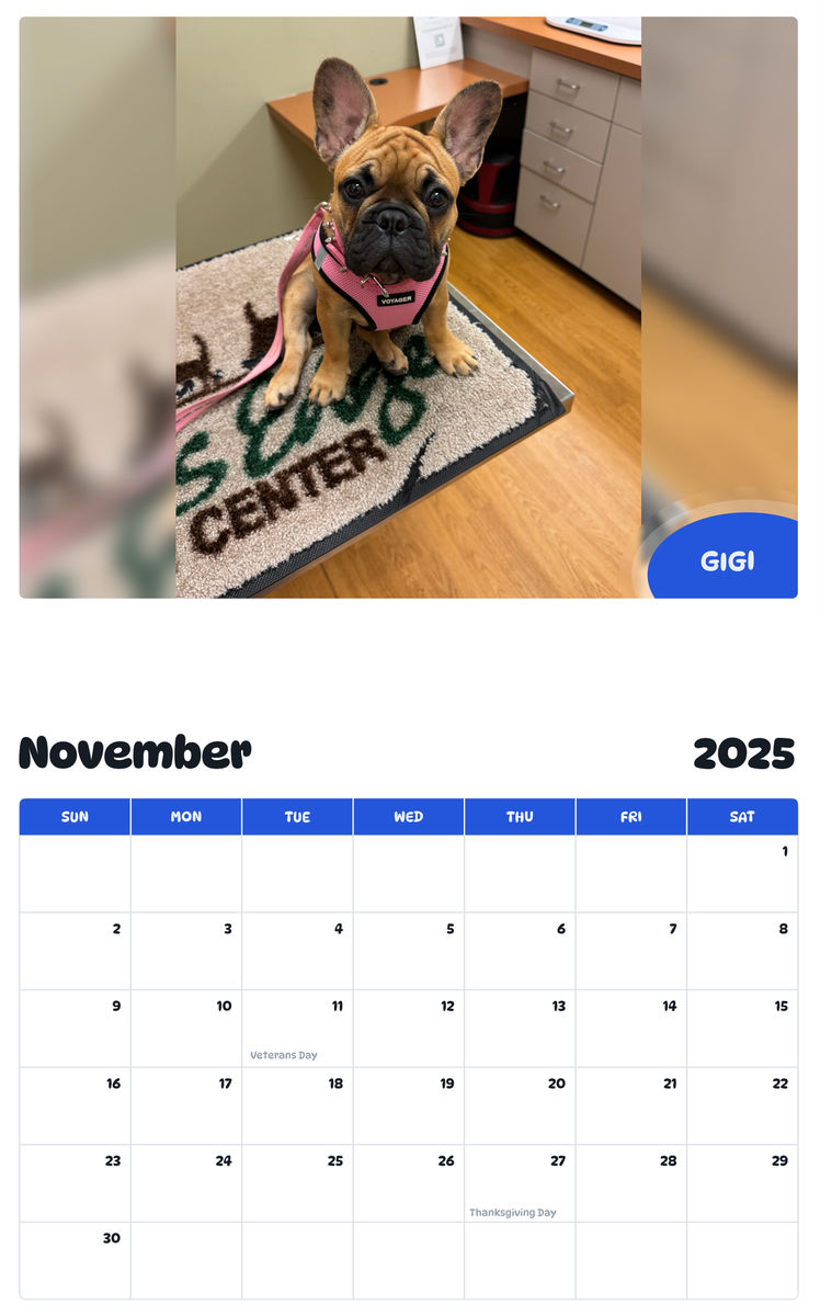 July 2025 - June 2026 Gigi - Pawidols Pet Calendar
