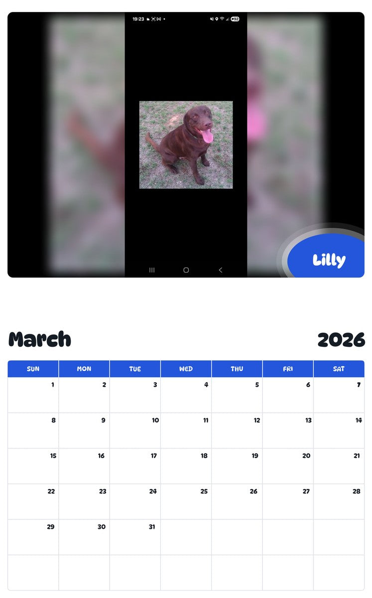 November 2025 - October 2026 Lilly - Pawidols Pet Calendar