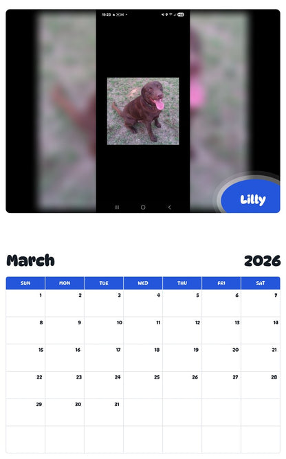 November 2025 - October 2026 Lilly - Pawidols Pet Calendar