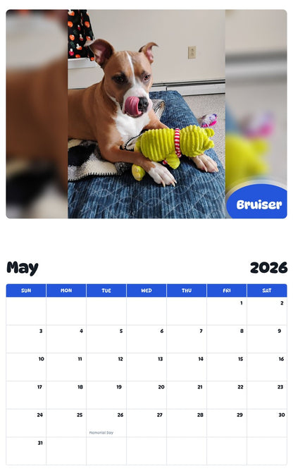 2026 - 2027 Bruiser - Pawidols Pet Calendar