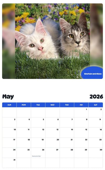 2026 - 2027 Einstein and Rizzo - Pawidols Pet Calendar