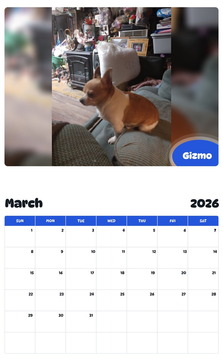 November 2025 - October 2026 Gizmo - Pawidols Pet Calendar