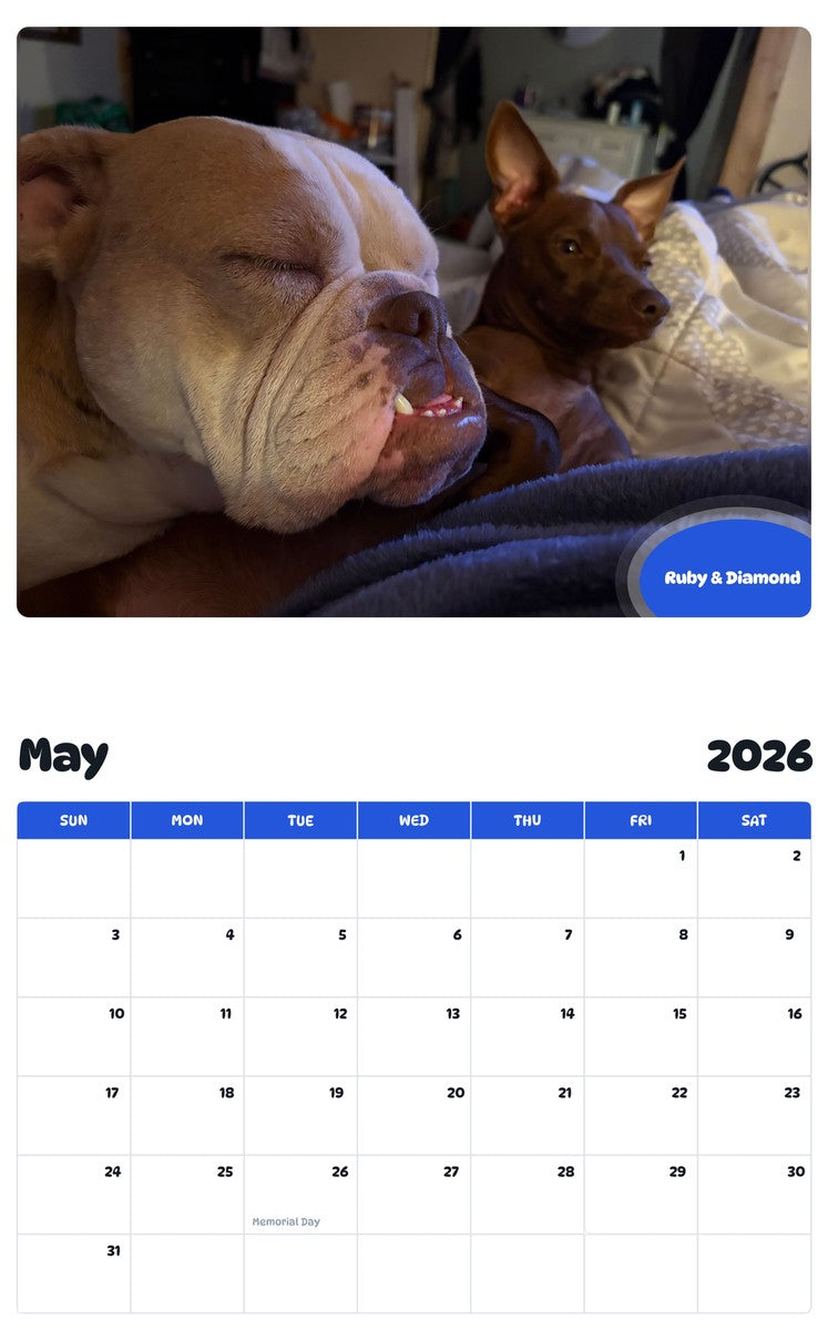 2026 - 2027 Ruby & Diamond - Pawidols Pet Calendar